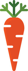 Vector illustration of carrot. Carrot icon