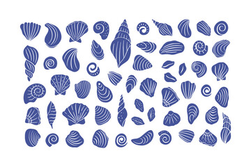 Obraz premium Hand drawn sea shells clipart