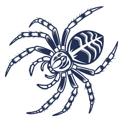 Spider Adobe Illustrator Artwork