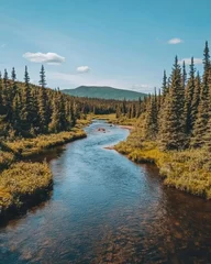 Crédence en verre imprimé Serene river flowing through boreal forest landscape aerial view in Yukon Territory Canada nature scene