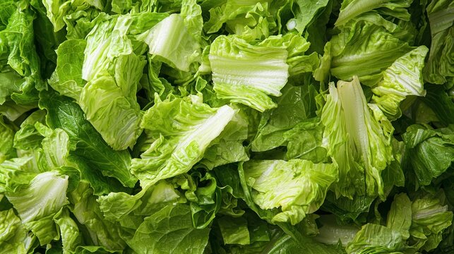 A Caesar salad with chopped romaine lettuce