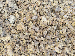 Close-up of dried cow dung.