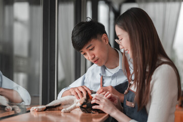 Joyful cat grooming session, home setting, close-up photography, relaxed atmosphere, bonding moments