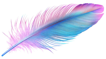 Colorful Gradient Feather Design with Delicate Texture on a Transparent Background
