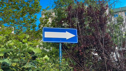 A blue arrow sign pointing right amidst lush greenery and trees, guiding the way under a clear sky, symbolizing direction and clarity.

