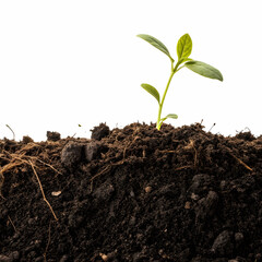 Fototapeta premium humus soil bottom border pile isolated on white