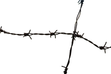 aesthetic rusty barbed wire for design element