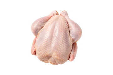 Raw whole chicken ready for roasting against a neutral background transparent background Generative AI