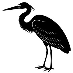 Fototapeta premium heron vector silhouette