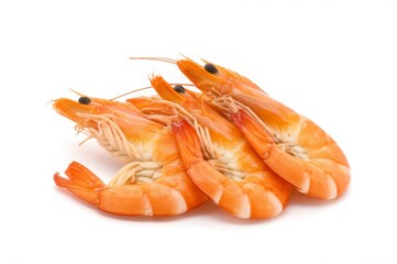 Fresh Shrimp on White Background for Culinary and Seafood Use