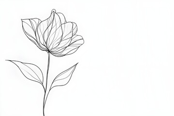 Obraz premium Elegant flowers drawn in black continuous line art, minimalistic composition with smooth curves, centered on plain white background with wide space