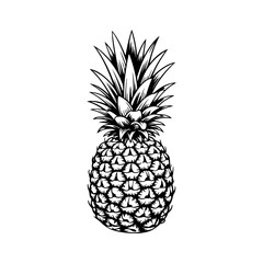 Obraz premium illustration of pineapple in engraving style. Design element for poster, label, sign, emblem, menu. Vector illustration
