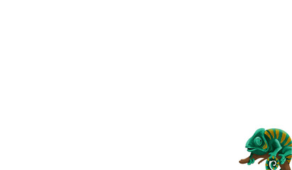 white background with chameleon below