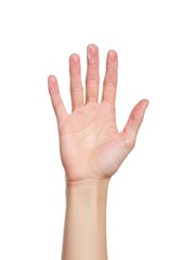 Open Hand: A Simple, Clean Photographic Study