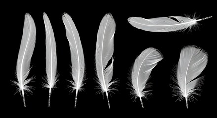 Obraz premium Ephemeral Grace