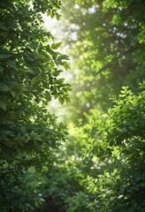 Blurred green leaves, dappled sunlight, soft focus, lush foliage,  blurry,  shadow,  texture