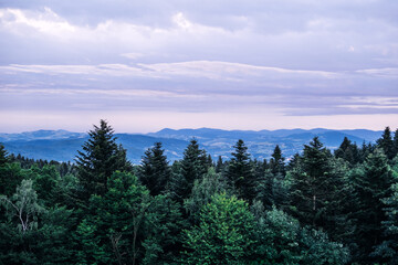 Obraz premium Distant mountain range with layered hills and dense forest in the foreground under a moody sky at dusk. Wilderness preservation, forest ecosystems, natural heritage, remote landscapes..