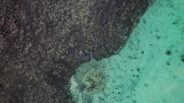 Straight down ascending view of turquoise and crystal clear waters, rocky coastlines, and volcanic terrain by 4k aerial drone view of Puertito Isla de Lobos, Fuerteventura