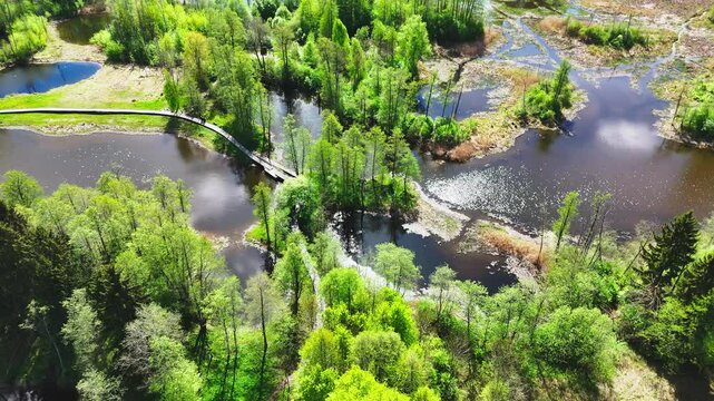 Biržai Regional Park, Lithuania - A Winding Wooden Bridge Weaves Through Lush Green Foliage Over a Tranquil Karst Lake - Orbit Drone Shot