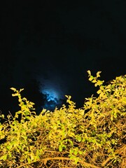 fire in the night