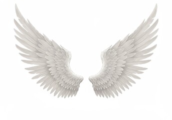 Fototapeta premium Two elegant white wings with detailed feather patterns are displayed against a clean background