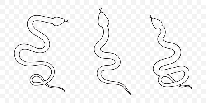Spiral crawling snake line icon. Outline hand drawn vintage sketch of serpent animal, wildlife nature element design. Wild reptile, predator mascot, simple snake silhouette vector illustration. EPS 10