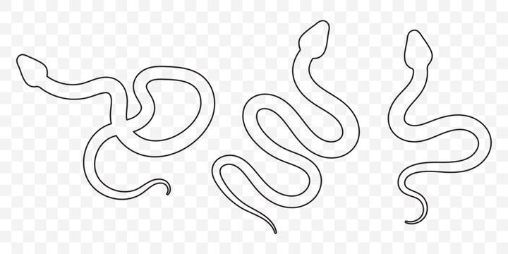 Snake icon. Snake silhouette vector. EPS 10