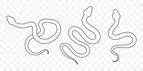 Snake icon. Snake silhouette vector. EPS 10