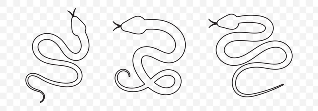 Snake icon. Snake silhouette vector. EPS 10