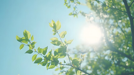 Obraz premium Sunlight Dapples Green Leaves, Bright Day