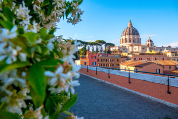 View of St. Peter's Dome from Passeggiata del Gelsomino