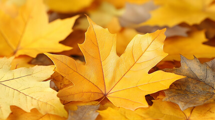 Abstract autumn background warm yellow orange blurred texture