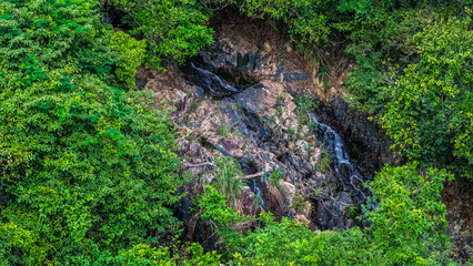 Beautiful Small Waterfall Surrounded by Lush Green Foliage and Natural Rock Formations