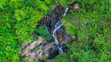 Beautiful Small Waterfall Surrounded by Lush Green Foliage and Natural Rock Formations