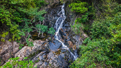 Beautiful Small Waterfall Surrounded by Lush Green Foliage and Natural Rock Formations