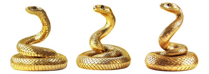 Coiled golden snake sculpture with detailed scales isolated on white transparent background, reptiles or wildlife, symbolizing Chinese Lunar New year