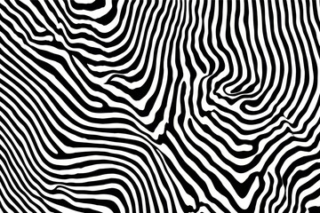 Fototapeta premium Abstract black and white design with wavy stripes.