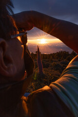 Atardecer entre tajinastes en la isla de la Palma