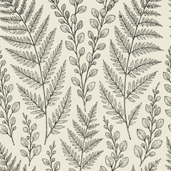 Ferns and eucalyptus branches, illustration, vector botanical sketchbook vibe, ideal for organic beauty products