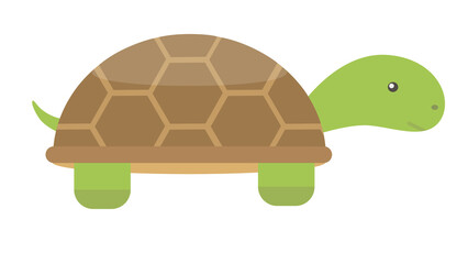 Cute Turtle Illustration
