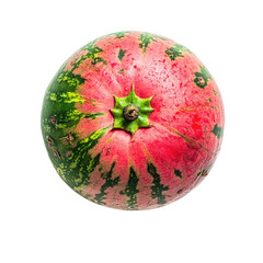 Fototapeta premium Vibrant, round watermelon, exhibiting a mix of pink and green hues. A fresh, ripe fruit with a distinct pattern