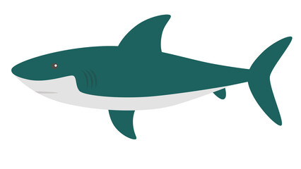 Cute Cartoon Shark Illustration