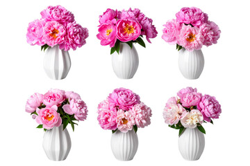 Obraz premium Set of Pink flowers in a white ceramic vase , isolated on a transparent background