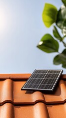 Modern Solar Panel on Vintage Roof