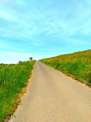 Naklejka premium スイバ咲く土手のサイクリング道路に続く河川敷からの坂道風景