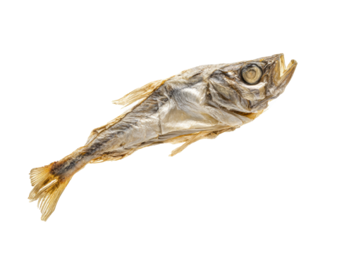 Dried fish laying on a flat surface ready for culinary use on a transparent background, cut out
