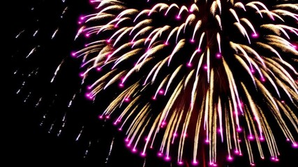 Brilliant burst of fireworks with pink and gold trails against a dark sky creating vibrant celebration atmosphere and festive visual delight.