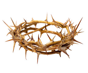 Symbolic crown of thorns representing suffering and sacrifice on a transparent background, cut out