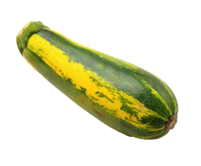Fresh zucchini with yellow and green stripes for healthy cooking on a transparent background, cut out