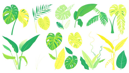 Illustration vector of diverse leaf designs